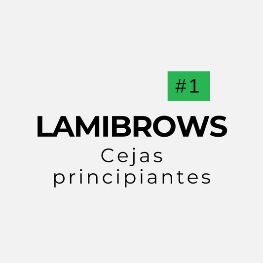 Curso Presencial Lamibrows - 41 Academy